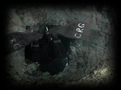119 CRG in shaft